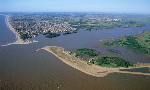 Mar invade Paraíba do Sul e afeta agricultura