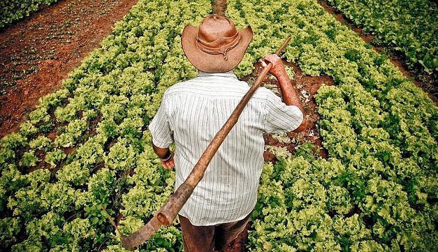 EXCLUSIVO: CVM libera operação de agricultores ligados ao MST