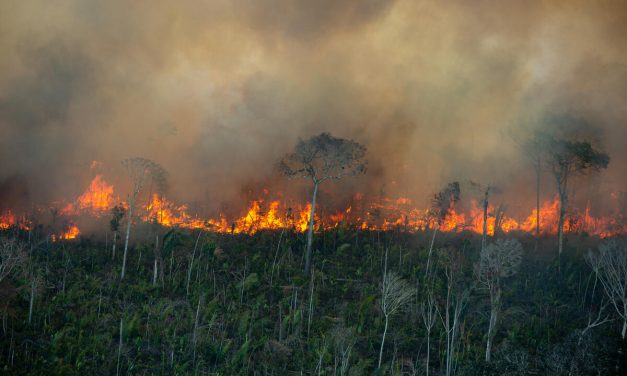 Governo descumpre meta; destruição da Amazônia é segunda pior da série