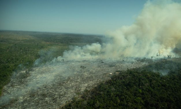 ONGs e ambientalistas cobram na Justiça R$ 247 mi de dano climático a desmatadores