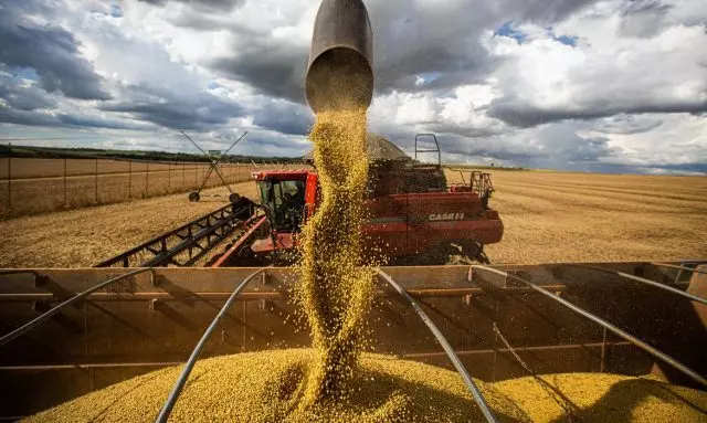 Dependência de fertilizante russo ameaça próxima safra agrícola