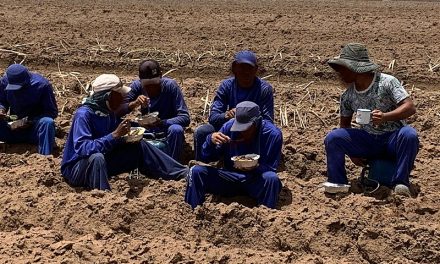 Inflação da comida provoca nova onda de trabalho escravo no Brasil