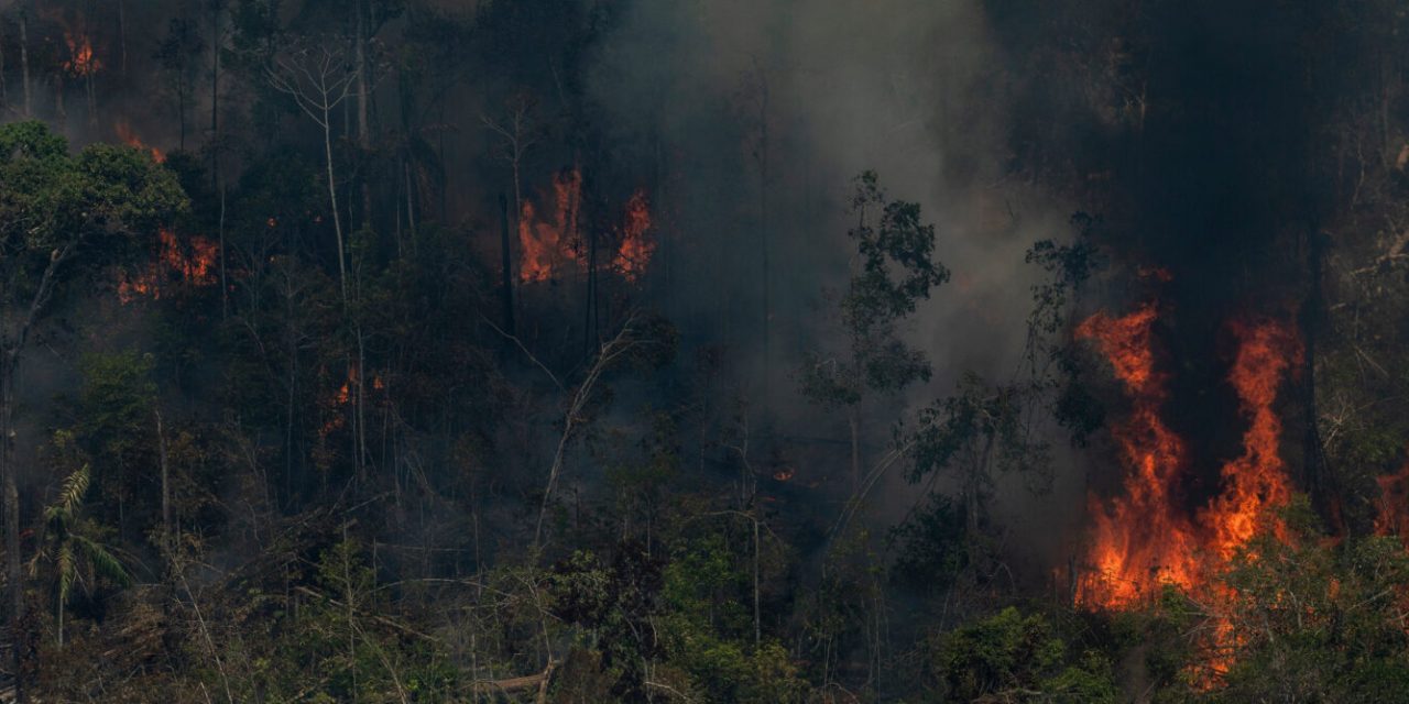 Ibama sob nova direção deve cancelar estrada que causou explosão de desmatamento na Amazônia