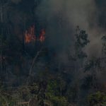 Ibama sob nova direção deve cancelar estrada que causou explosão de desmatamento na Amazônia