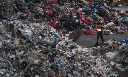 Unilever antecipa meta de uso de plástico reciclado em embalagens
