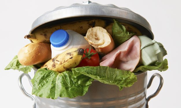 Estudo revela desperdício e redução de 80% das doações de alimentos