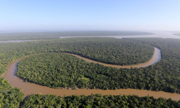 Brasil promove oficina de implementação de programa para gestão da bacia Amazônica