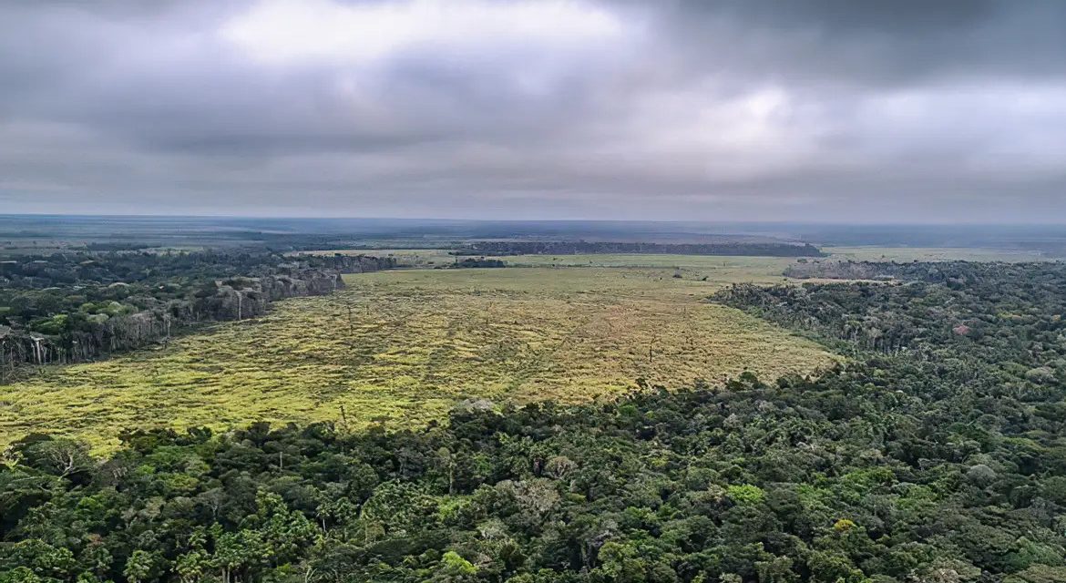 Lideranças do sul do Amazonas apresentam destinação de áreas públicas contra desmatamento