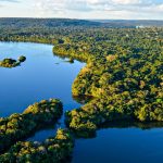 Sitawi abre 15ª rodada de investimentos para financiar negócios na Amazônia