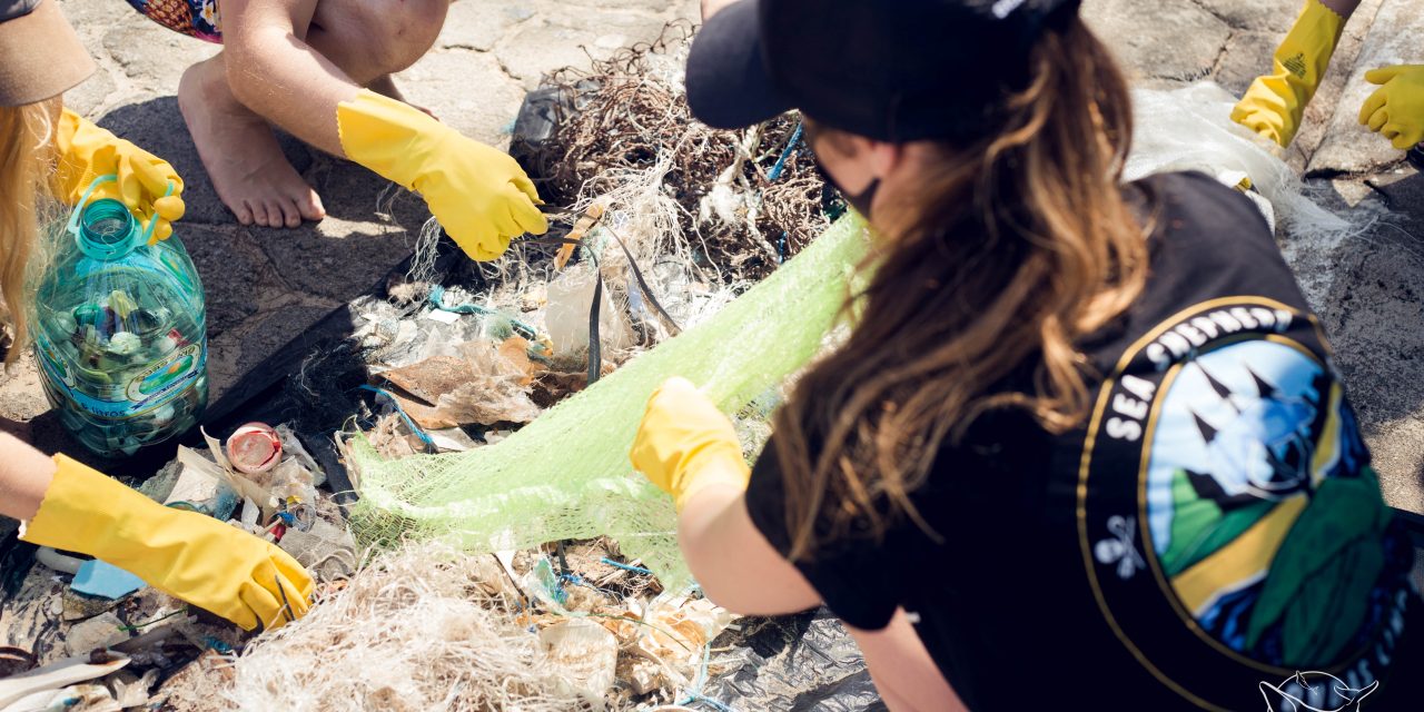 Sea Shepherd Brasil promove mutirão de limpeza em São Paulo