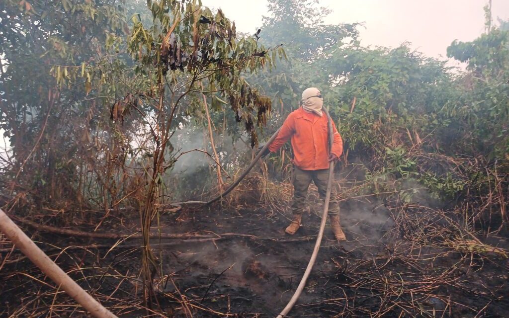 Brasil de extremos climáticos: primavera atropelou inverno