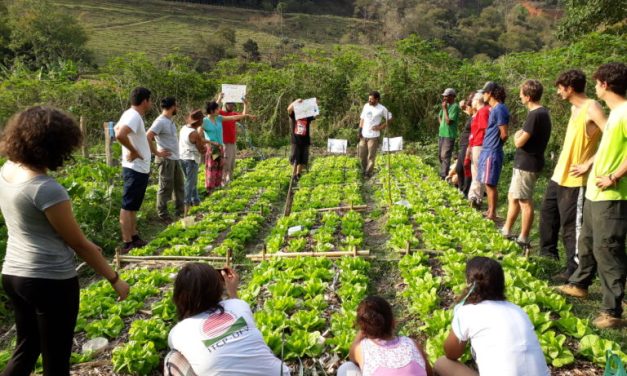 BNDES e Fundação Banco do Brasil lançam edital para projetos de agroecologia