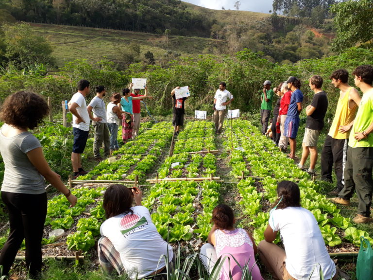 BNDES e Fundação Banco do Brasil lançam edital para projetos de agroecologia