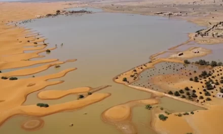 Saara alagado, Antártica verde e outras loucuras do clima