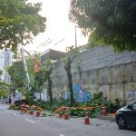 Enel recebe multa inédita de R$ 225 mil por destruição de árvores