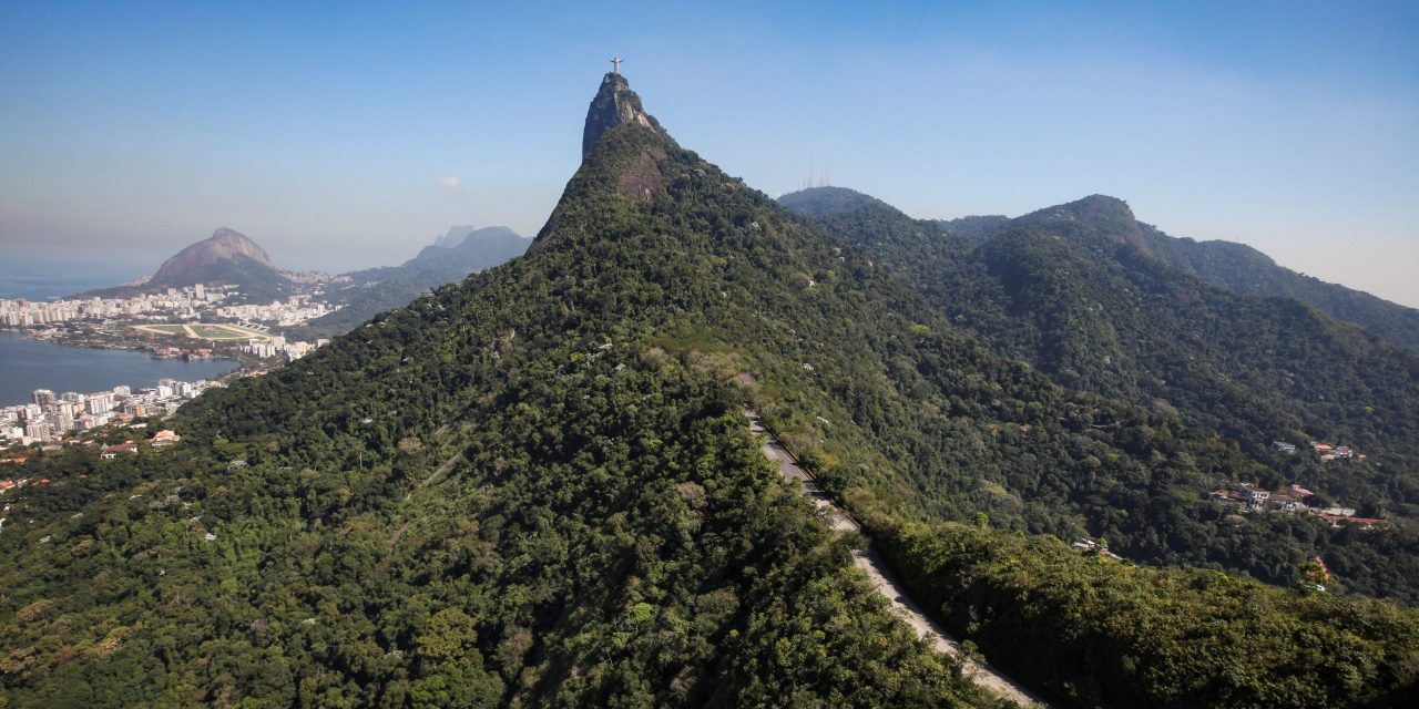 Desmonte ambiental inclui revogar legislação que protege a Mata Atlântica