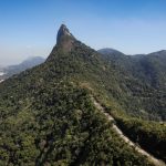 Desmonte ambiental inclui revogar legislação que protege a Mata Atlântica