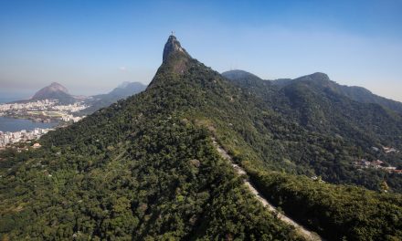Depois de cinco décadas, onça pintada volta a habitar no RJ