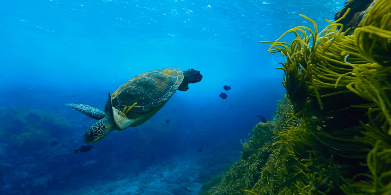 Lei do Mar protege litoral brasileiro de PEC das Praias 