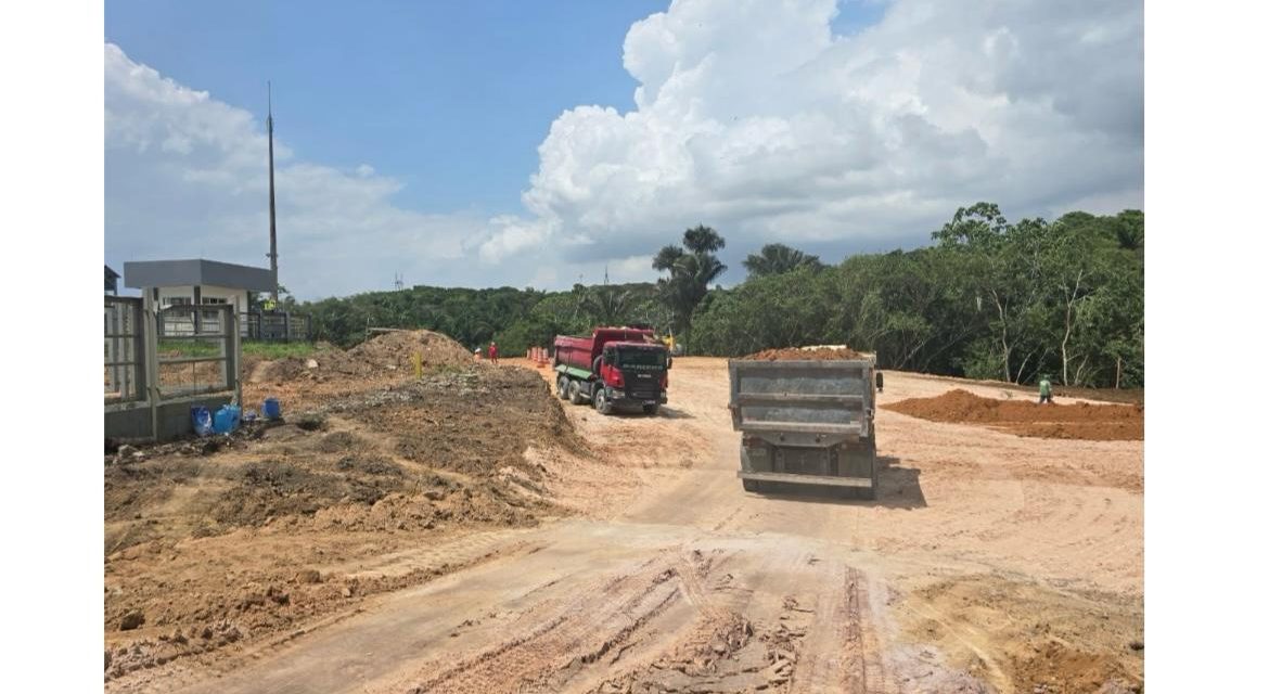 Refinaria desmata área de preservação ambiental na Amazônia