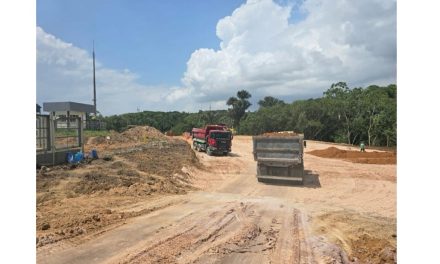 Refinaria desmata área de preservação ambiental na Amazônia