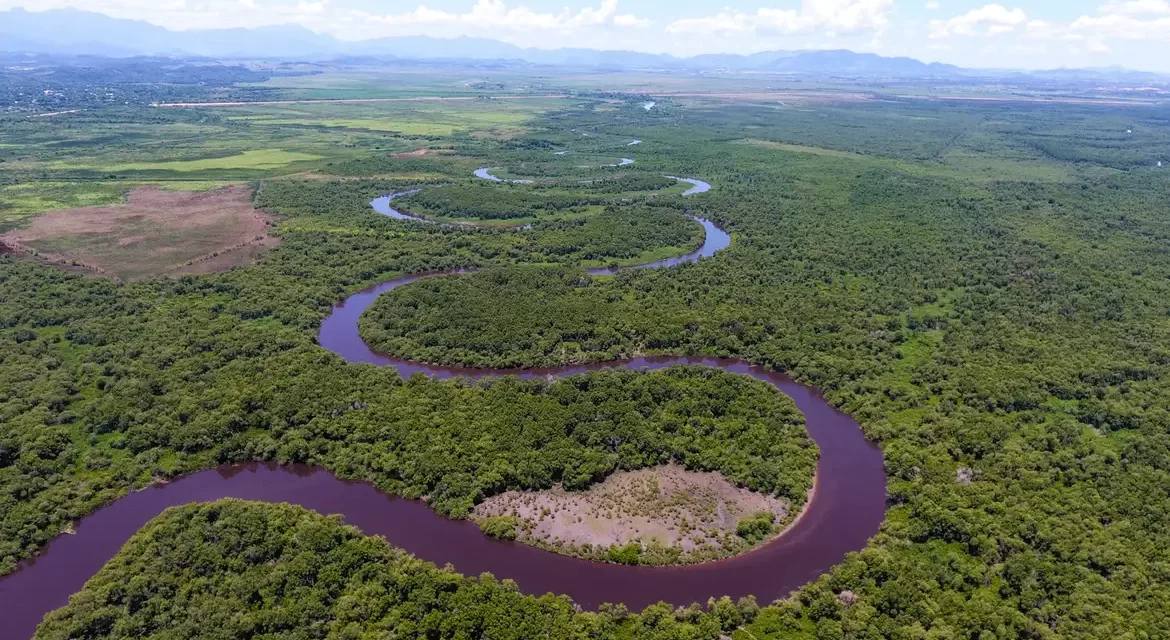 Por manguezais e contra contaminação na água, Justiça interrompe licenciamentos do Comperj