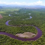 Por manguezais e contra contaminação na água, Justiça interrompe licenciamentos do Comperj