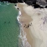 Sua praia melhorou ou piorou? Veja o histórico de balneabilidade no RJ