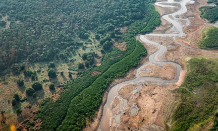 58% das cidades brasileiras têm resiliência baixa ou mínima para secas e estiagens 