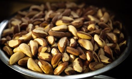 Fundo Flora apoia 10 projetos de preservação da floresta amazônica