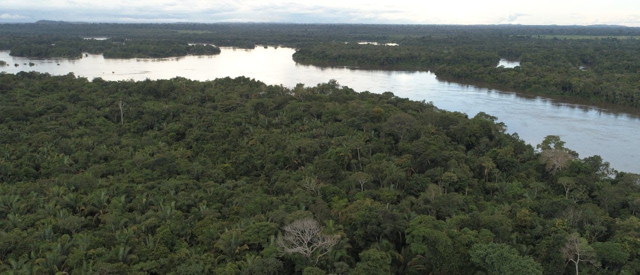 Incêndios respondem por mais de 65% da perda de florestas no Brasil