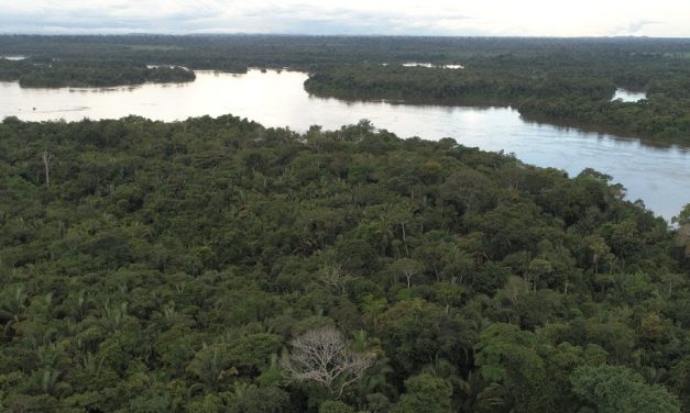 Incêndios respondem por mais de 65% da perda de florestas no Brasil